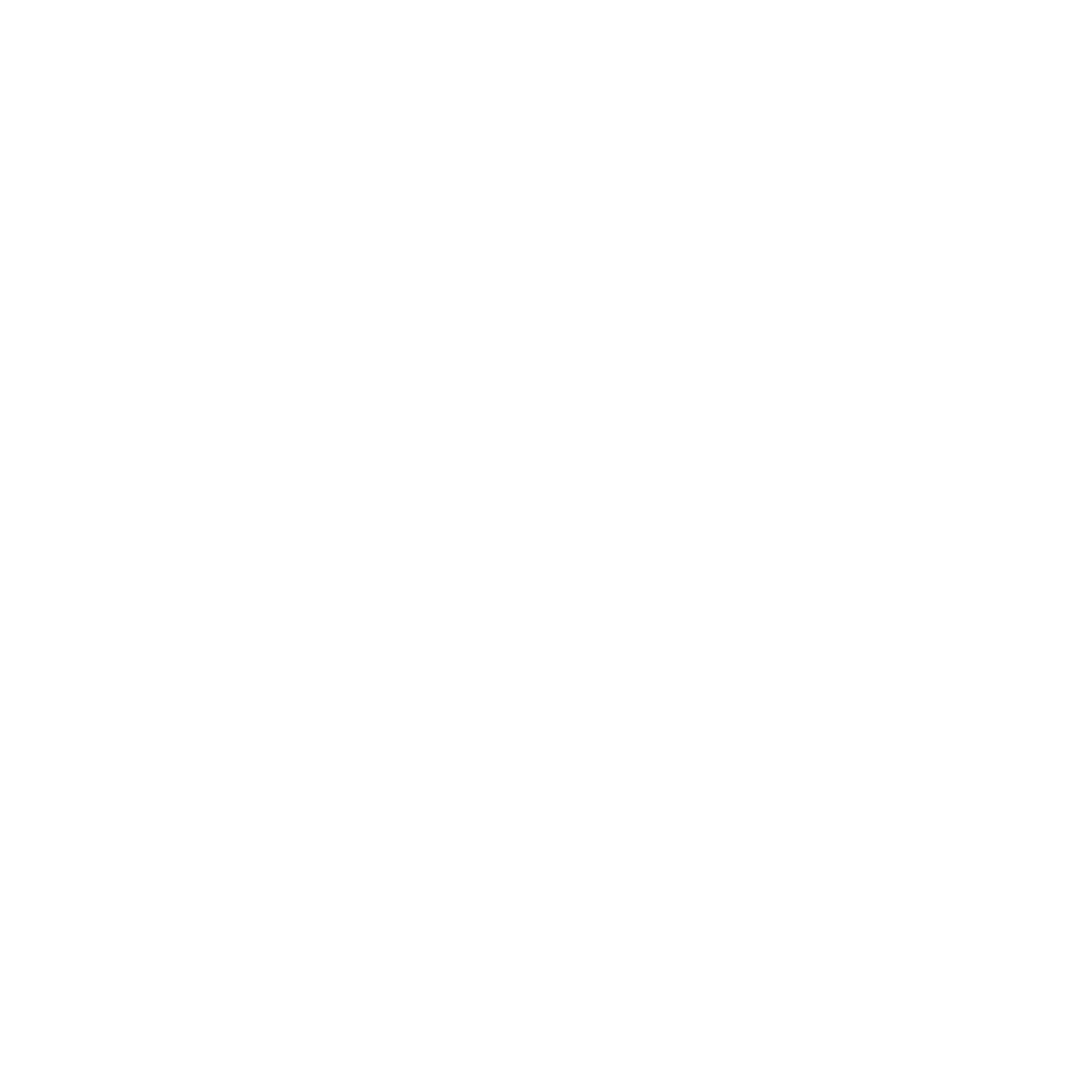 Mantenimiento Profesional